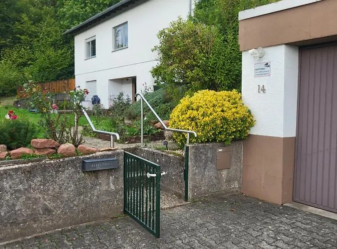 Apartment Betzenberg, Nur Netflix