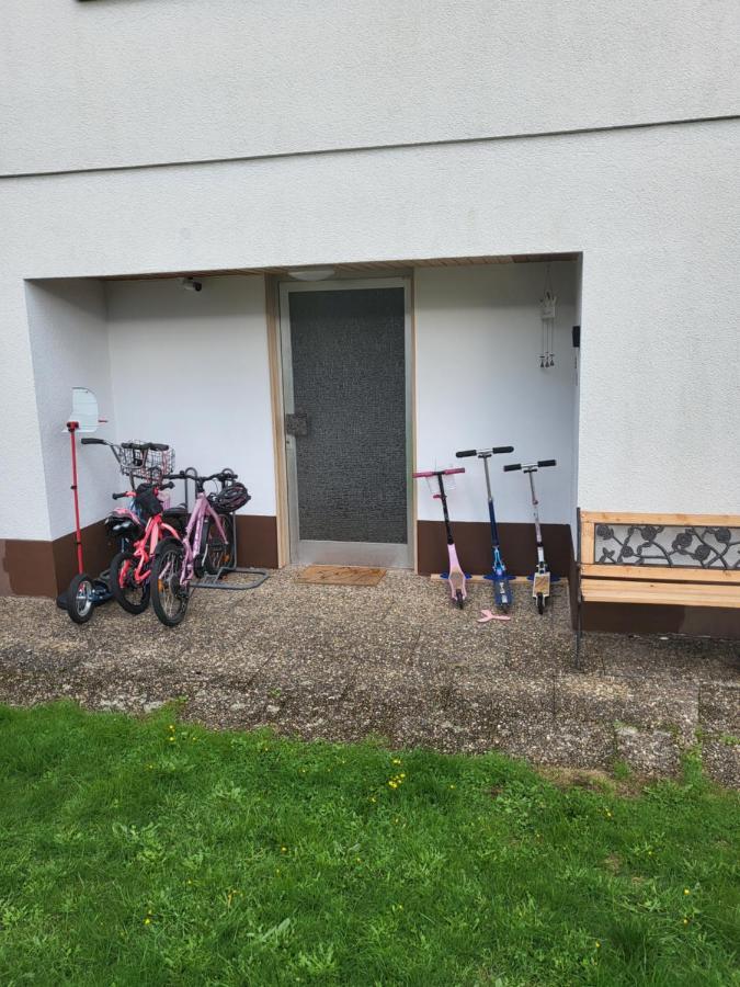 Betzenberg, Nur Netflix Apartment *